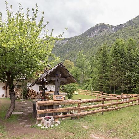 فيلا Lizina Hiska House Bohinj بوهينيسكا بيستريكا المظهر الخارجي الصورة