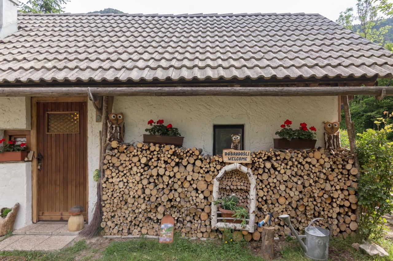 فيلا Lizina Hiska House Bohinj بوهينيسكا بيستريكا المظهر الخارجي الصورة