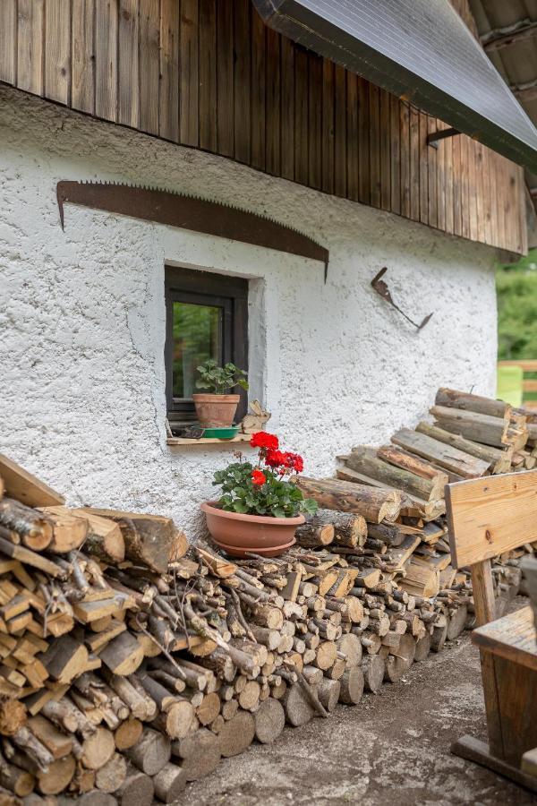 فيلا Lizina Hiska House Bohinj بوهينيسكا بيستريكا المظهر الخارجي الصورة