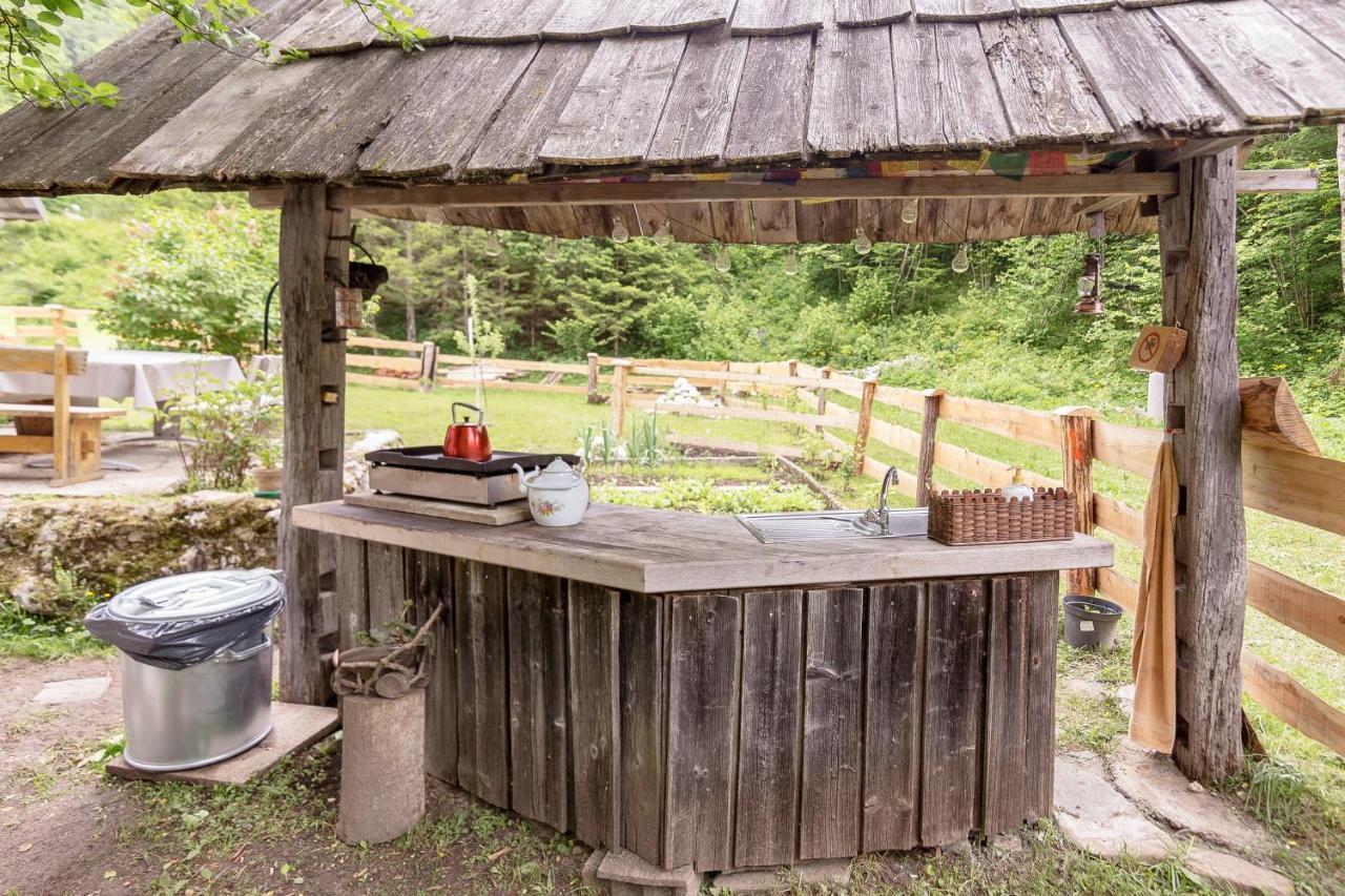 فيلا Lizina Hiska House Bohinj بوهينيسكا بيستريكا المظهر الخارجي الصورة