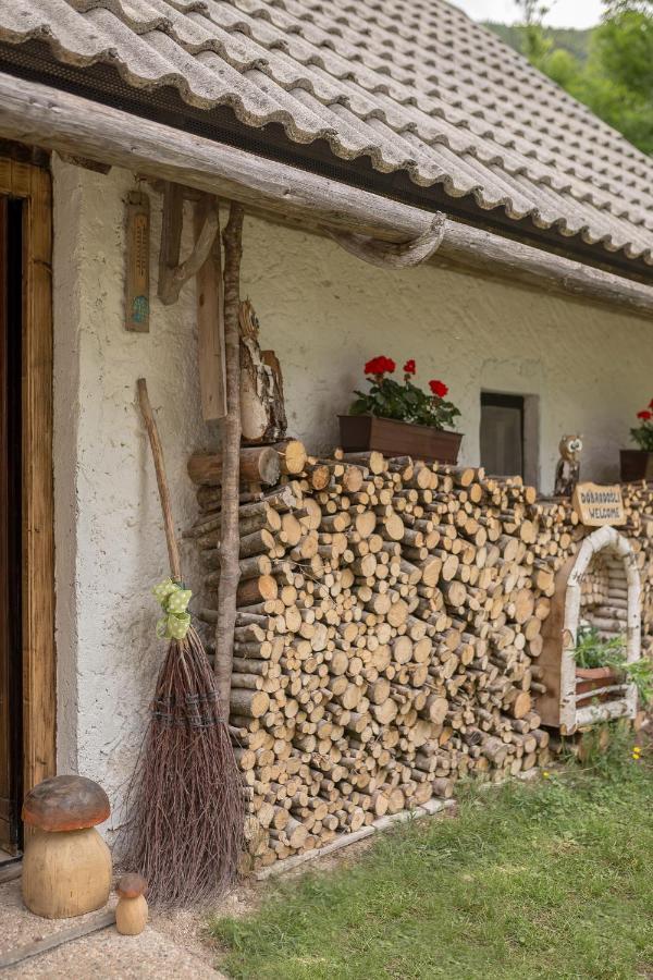 فيلا Lizina Hiska House Bohinj بوهينيسكا بيستريكا المظهر الخارجي الصورة