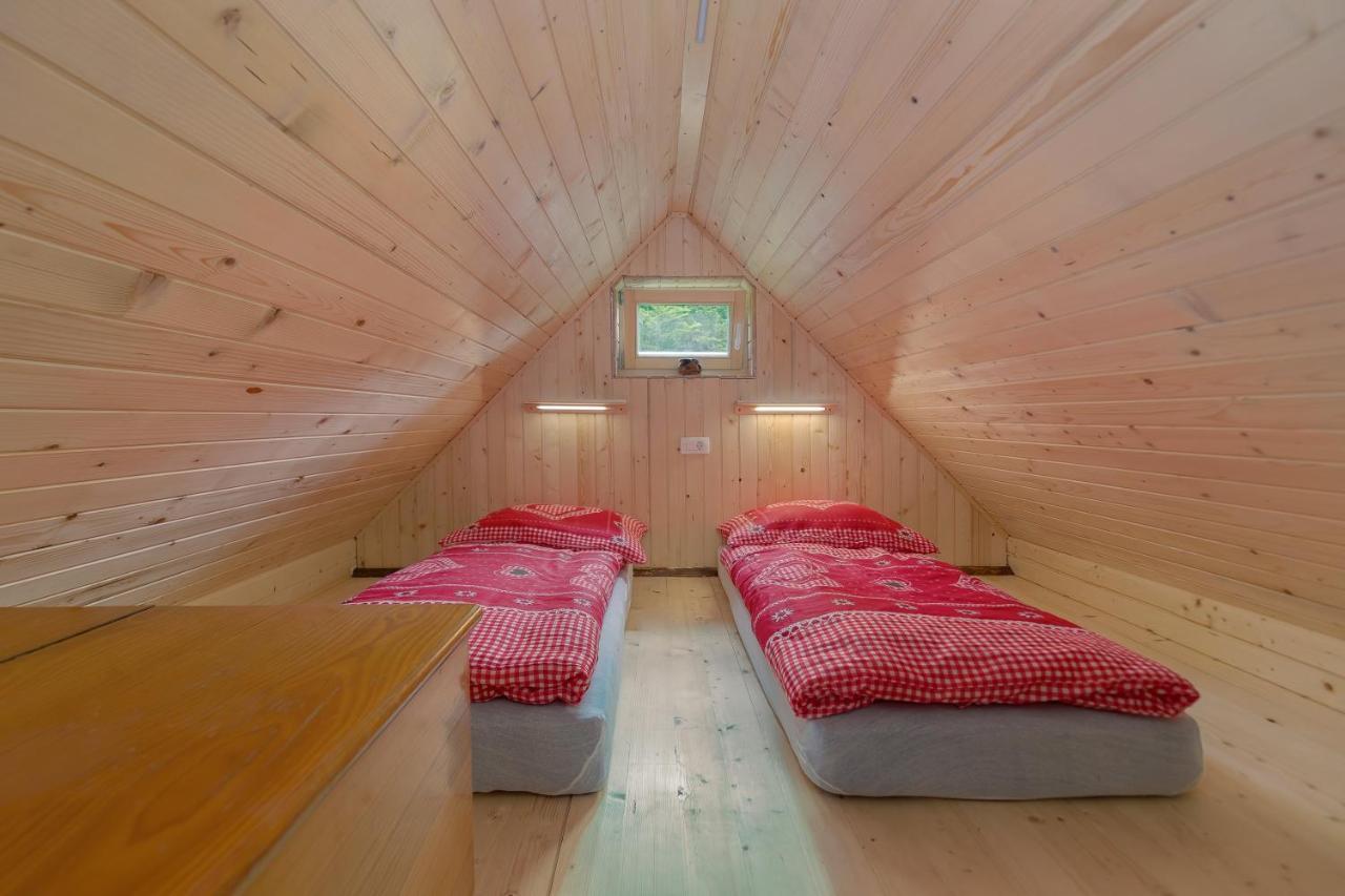 فيلا Lizina Hiska House Bohinj بوهينيسكا بيستريكا المظهر الخارجي الصورة