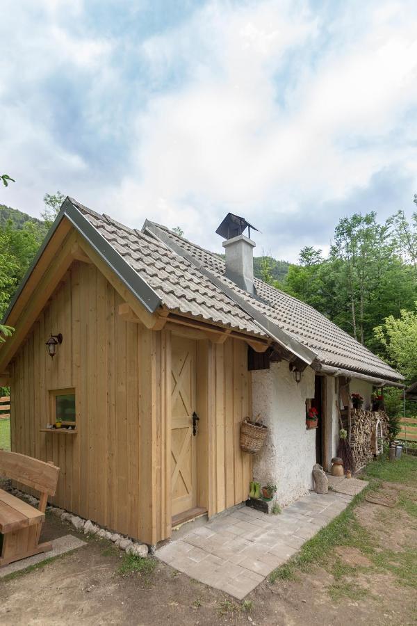 فيلا Lizina Hiska House Bohinj بوهينيسكا بيستريكا المظهر الخارجي الصورة