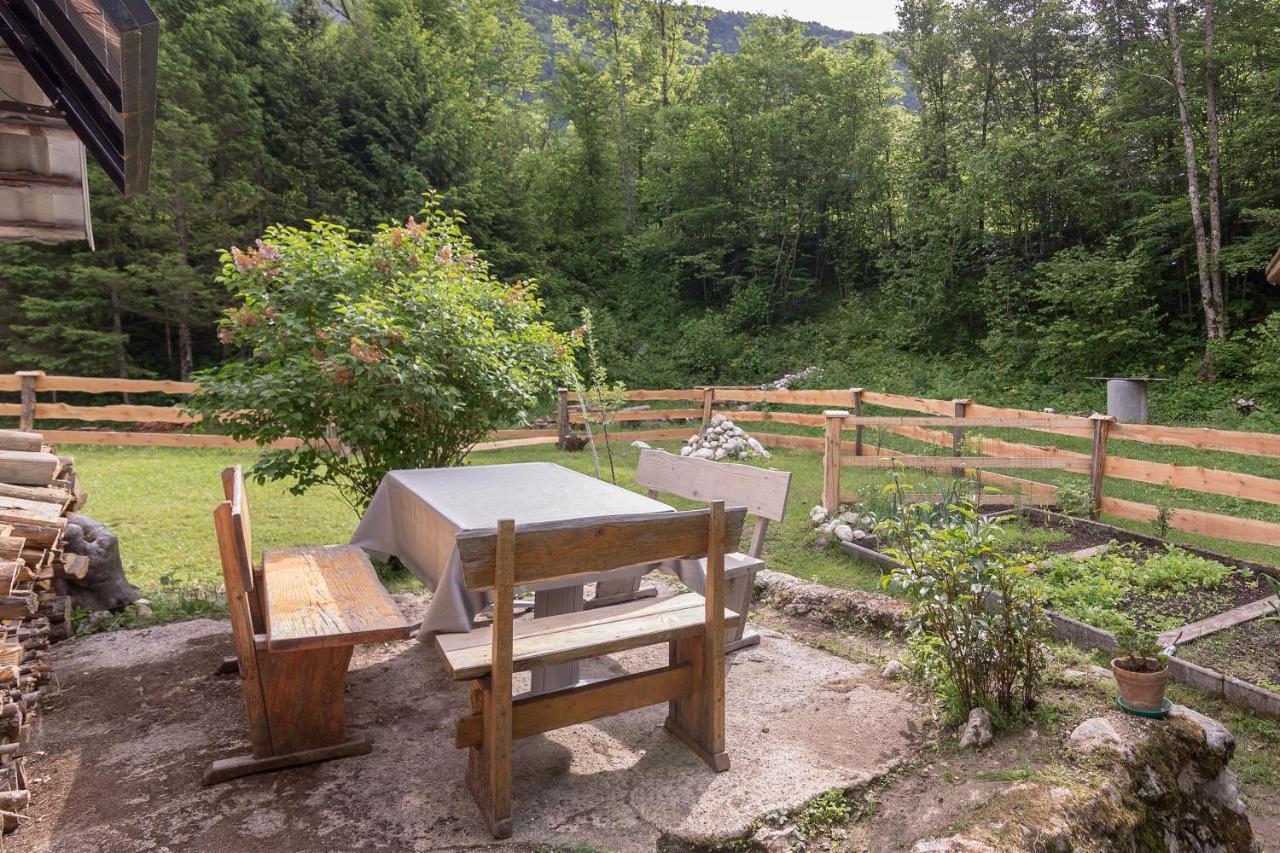 فيلا Lizina Hiska House Bohinj بوهينيسكا بيستريكا المظهر الخارجي الصورة